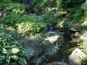 DSC08207.JPG